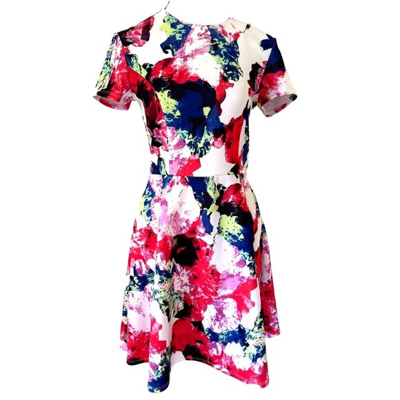 MILLY for DesigNation Floral Fit & Flare Dress - Picture 1 of 5